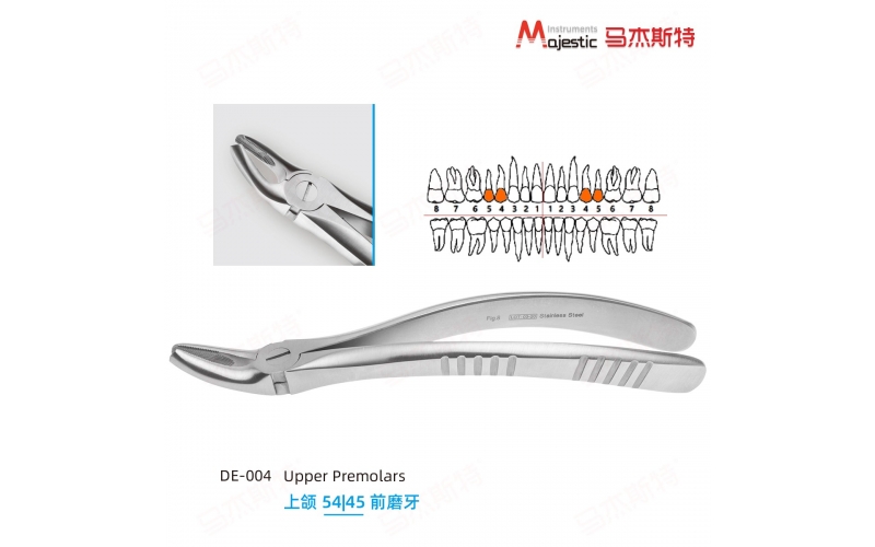 Adult Extracting Forceps English Pattern（DE-004）