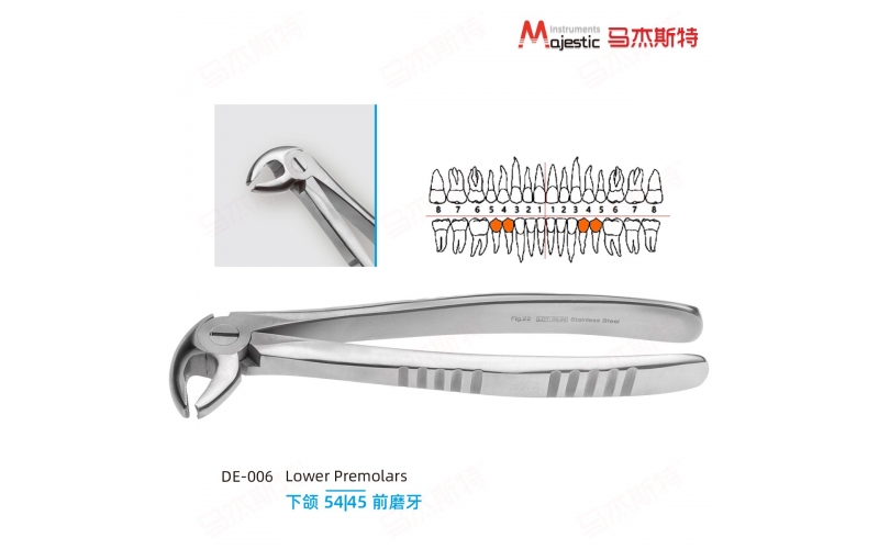 Adult Extracting Forceps English Pattern(DE-006)