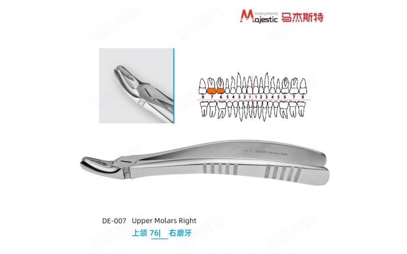 Adult Extracting Forceps English Pattern(DE-007)