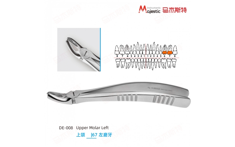 Adult Extracting Forceps English Pattern（DE-008)）