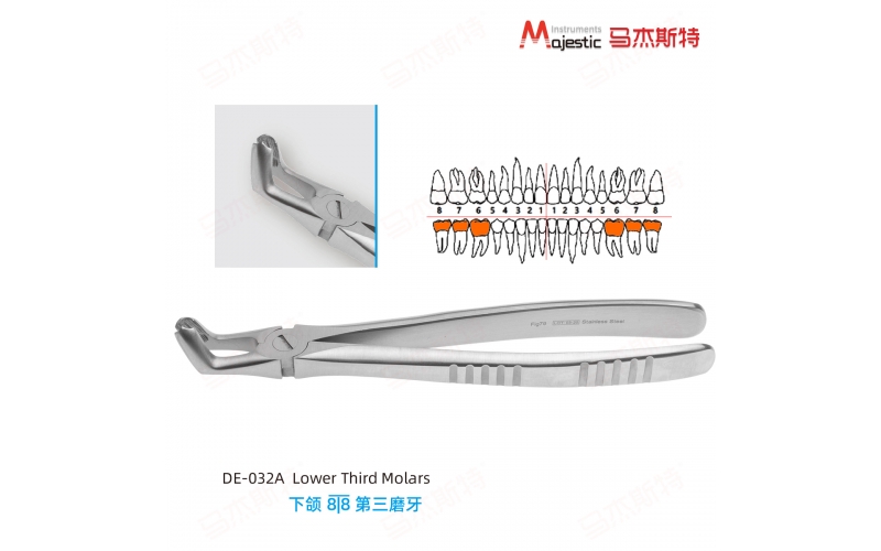 Adult Extracting Forceps English Pattern（DE-032A)）