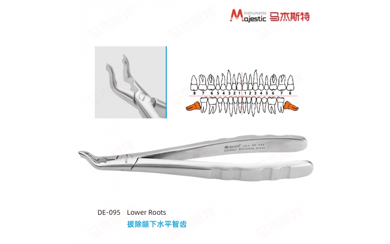 Adult Extracting Forceps English Pattern (DE-095)