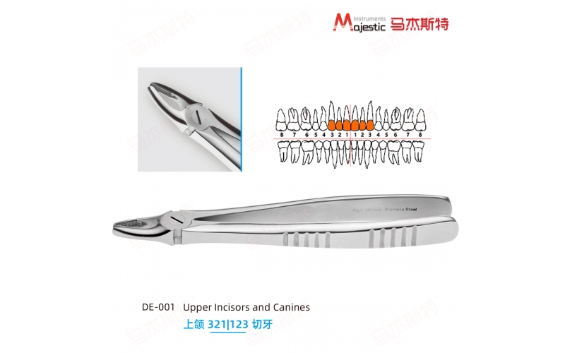 Adult Extracting Forceps English Pattern(DE-001)