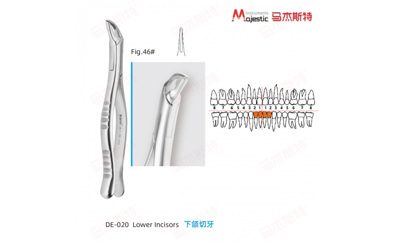 Adult Extracting Forceps American Pattern(DE-020)