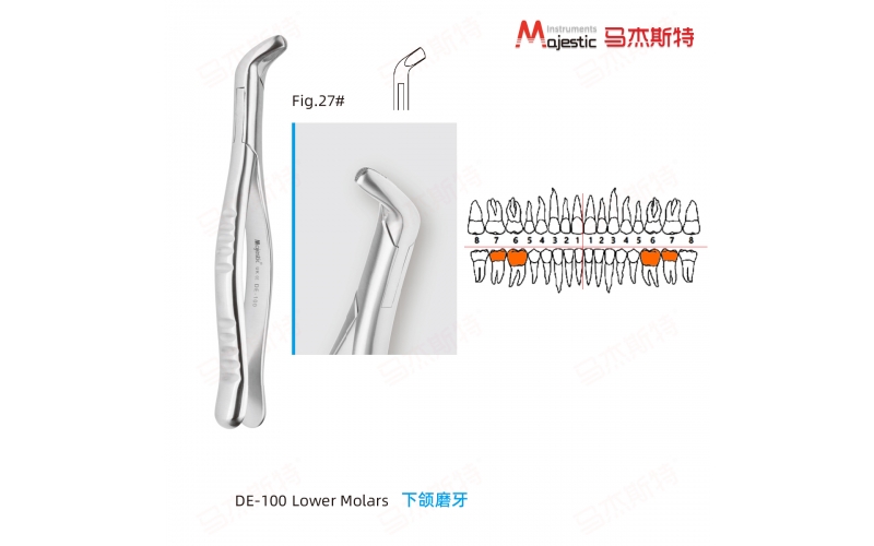 Adult Extracting Forceps American Pattern  (DE-100)