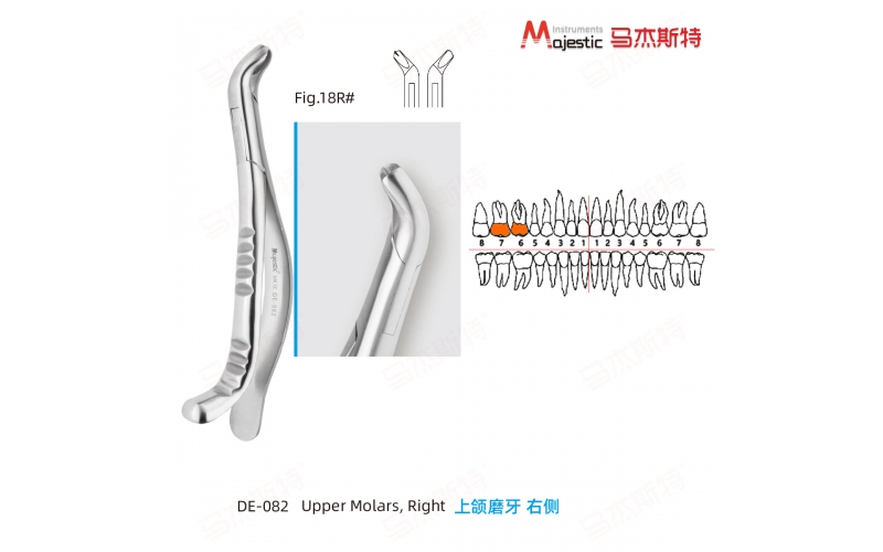 Adult Extracting Forceps American Pattern (DE-082)