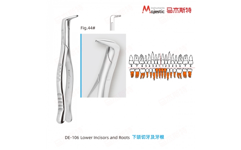 Adult Extracting Forceps American Pattern (DE-106)