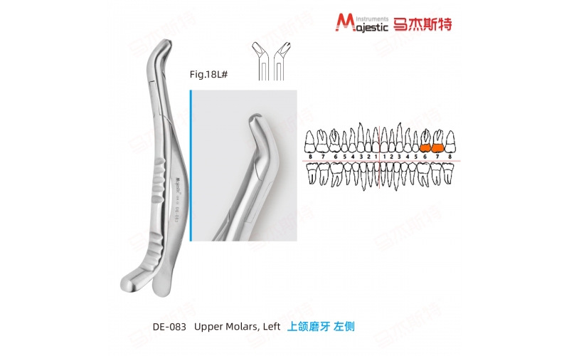 Adult Extracting Forceps American Pattern  (DE-083)