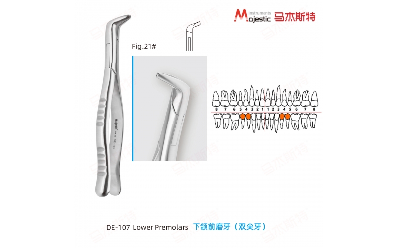 Adult Extracting Forceps American Pattern  (DE-107)