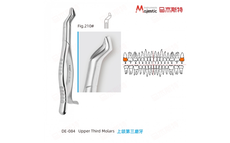 Adult Extracting Forceps American Pattern  (DE-084)