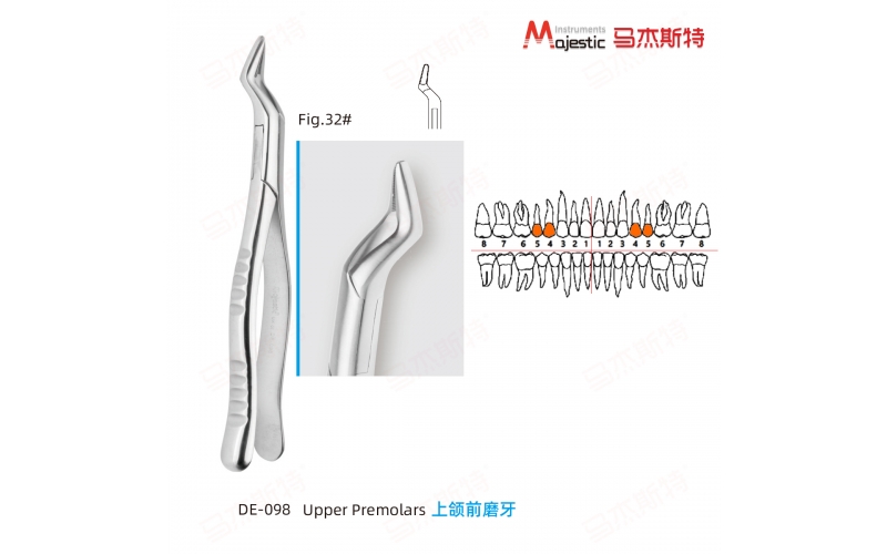 Adult Extracting Forceps American Pattern (DE-098)