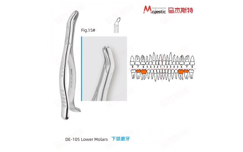 Adult Extracting Forceps American Pattern  (DE-105)