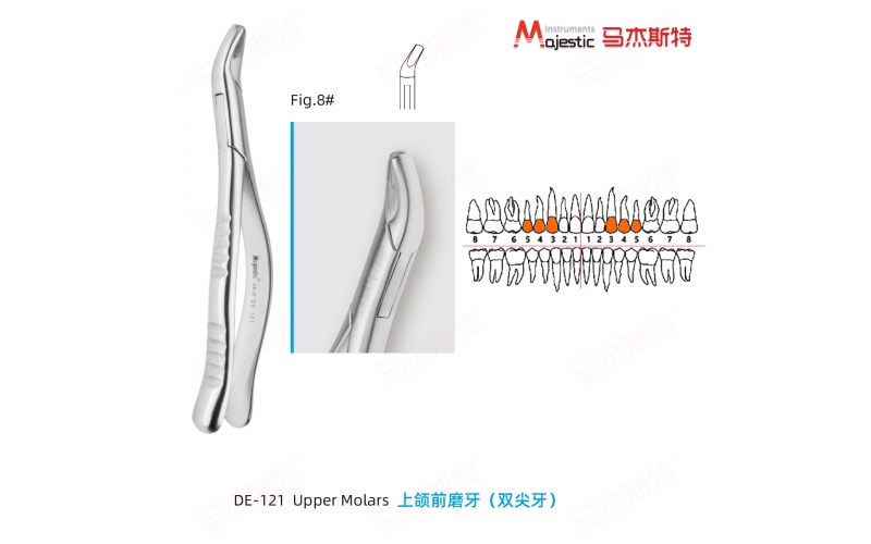 Adult Extracting Forceps American Pattern  (DE-121)